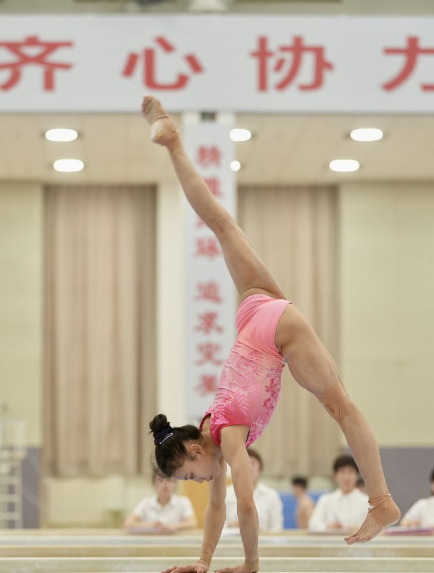 pg电子麻将胡了模拟器与传统麻将的对比